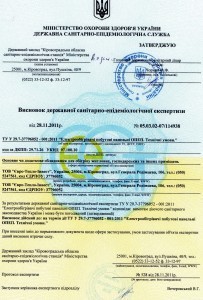 СЕС Висновок